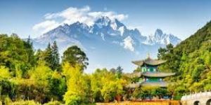 Tour Operators
