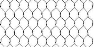 S.S Chicken Wire Mesh