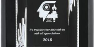 Silver Award with Black Base