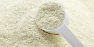 Milk Powder
