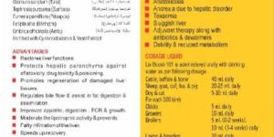 LIV -boost 101 Liver Tonic Supplement