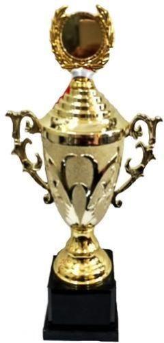 School Trophy Cup