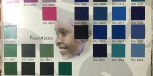 RAL Color Powder Coating Service
