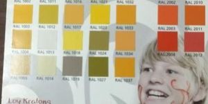 RAL Color Shade Coating Service