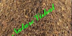 NATURE VISHAL - Neem Powder