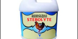 Stebolyte Energy Booster