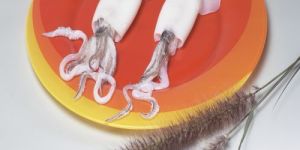 Frozen Whole Cleaned Squid