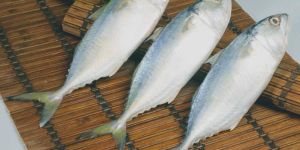 Rastrelliger Kanagurta Fish