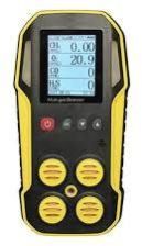 Multi Gas Analyzer