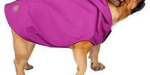 Pet Raincoat