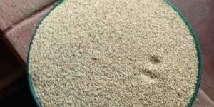 Poppy Seeds (Khaskhas)