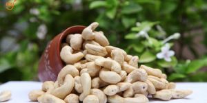 Whole Cashew Nuts