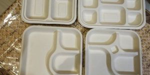 Biodegradable Meal Tray