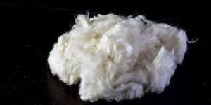 Cotton Lint