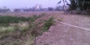 Real Estate Consulting Services