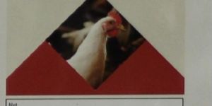 VetoSacc Health and Immunity Booster