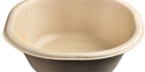 Biodegradable Bowl