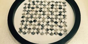 Wooden Bone and Resin Inlay Trays