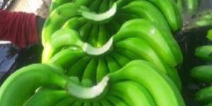 Green Banana