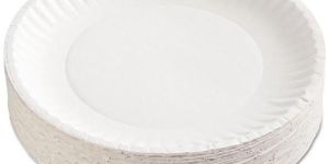 Disposable White Paper Plates