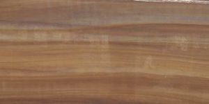 Polished Wooden Granite