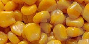 Frozen Sweet Corn