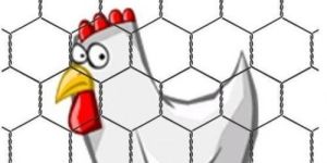 Silver Hexagonal Wire Net