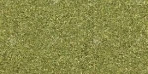 Dried Moringa Oleifera Leaves