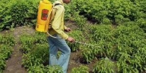 Botanical Pesticides