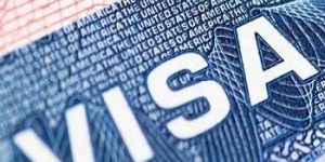 Immigration Services