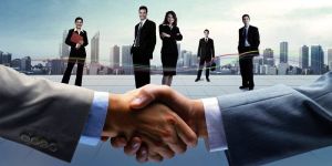 Placement Consultant