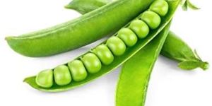 Fresh Green Peas