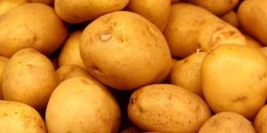 Potato,