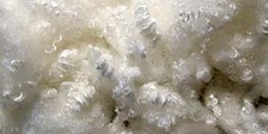 HOLLOW CONJUGATE FIBRE