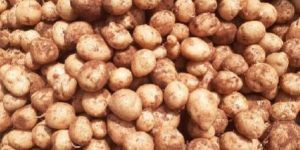Fresh Potato