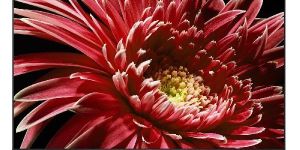 Sonic 4k Ultra HD LED Smart TV