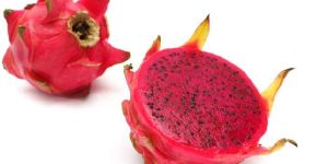 Red Dragon Fruit