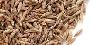 Cumin Seeds