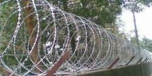 Galvanized Iron Concertina Coil