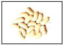 White Kidney Beans