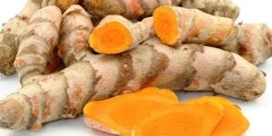 Turmeric Root