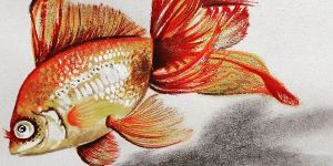 3d painting/3d paintings on tshirts