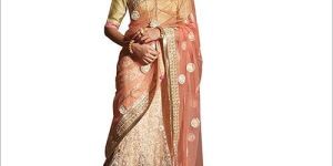 Sequence Work Lehenga Choli