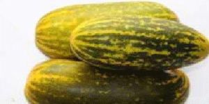 Fresh Vellari Cucumber