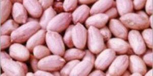 Organic Groundnut Kernels