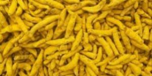 Turmeric