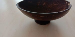 Coconut Shell Ice Cream Cup