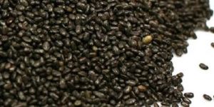 Black Chia Seeds