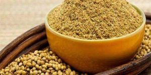 Dried Coriander Powder