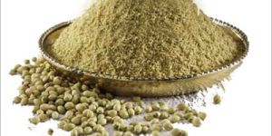 Organic Coriander Powder